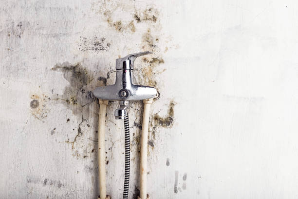 Best Mold Testing  in Theresa, WI