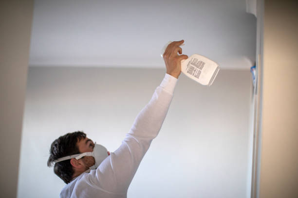 Best Attic Mold Removal  in Theresa, WI