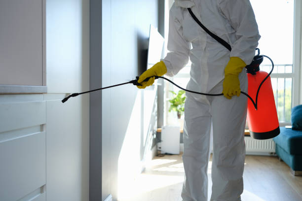 Best Emergency Mold Removal  in Theresa, WI